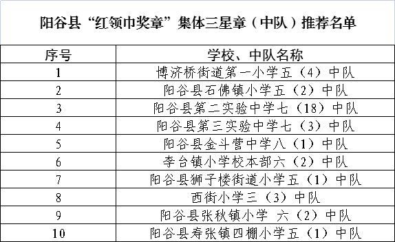 红领巾三星奖章推荐表图片