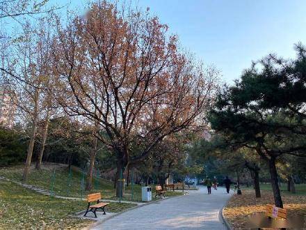 北京元旦假期首日14个公园游客超万人次