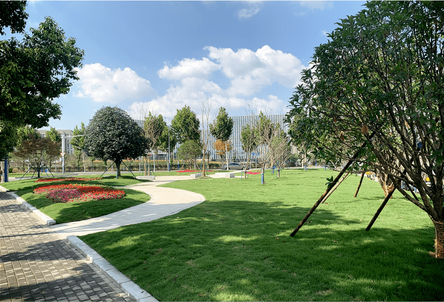 "小口袋"传递民生"微幸福"_浦口_公园_绿地