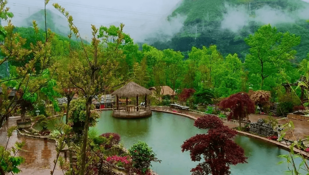 佛坪|重逢终有时，待山花烂漫，我在汉中这座小城等你！