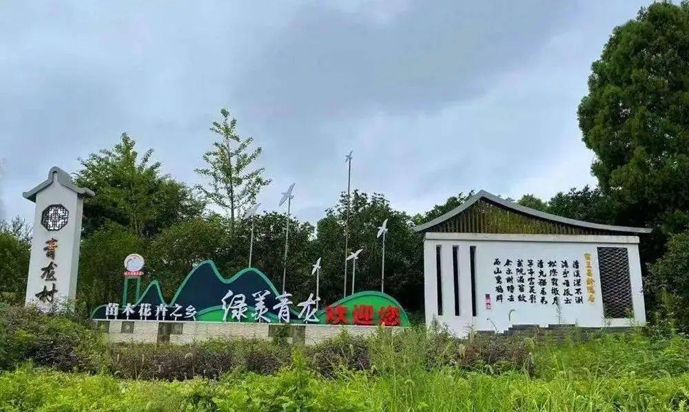 林头镇村民自治绘就美丽乡村