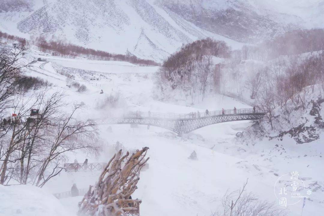 阿尔山|2022的第一场雪，去哪儿看才最浪漫？