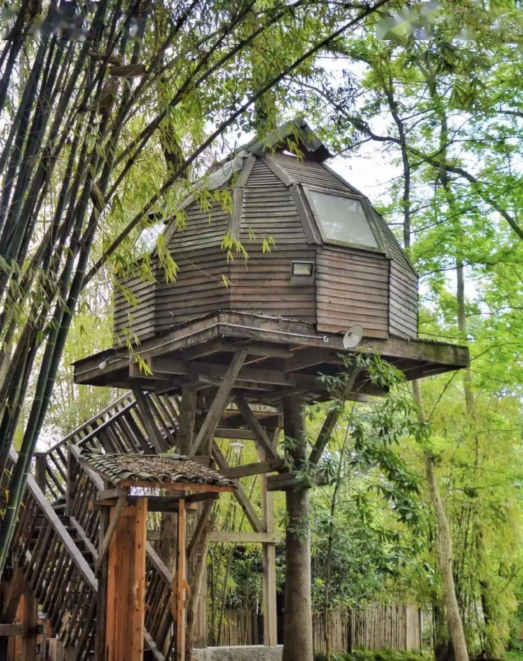 树上小木屋价格 d7c7234d1a1640bb9981d5d439093ab6.jpeg