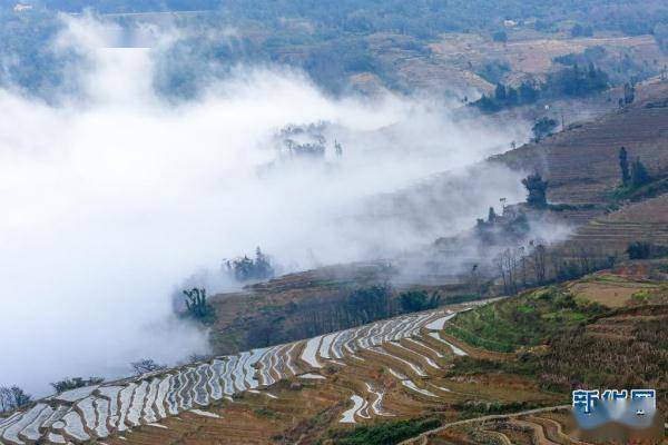 张洪科|云南红河哈尼梯田：云雾缭绕似仙境