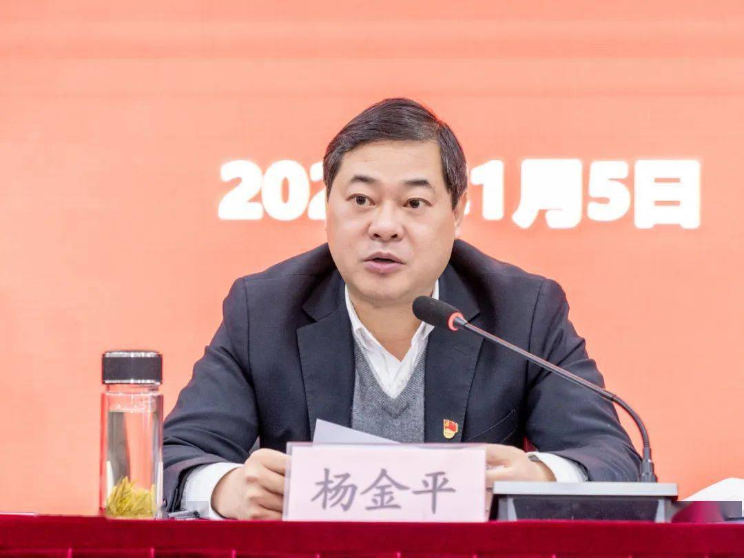 平湖园党工委常务副书记,新埭镇党委书记杨金平作个人述职述廉报告.