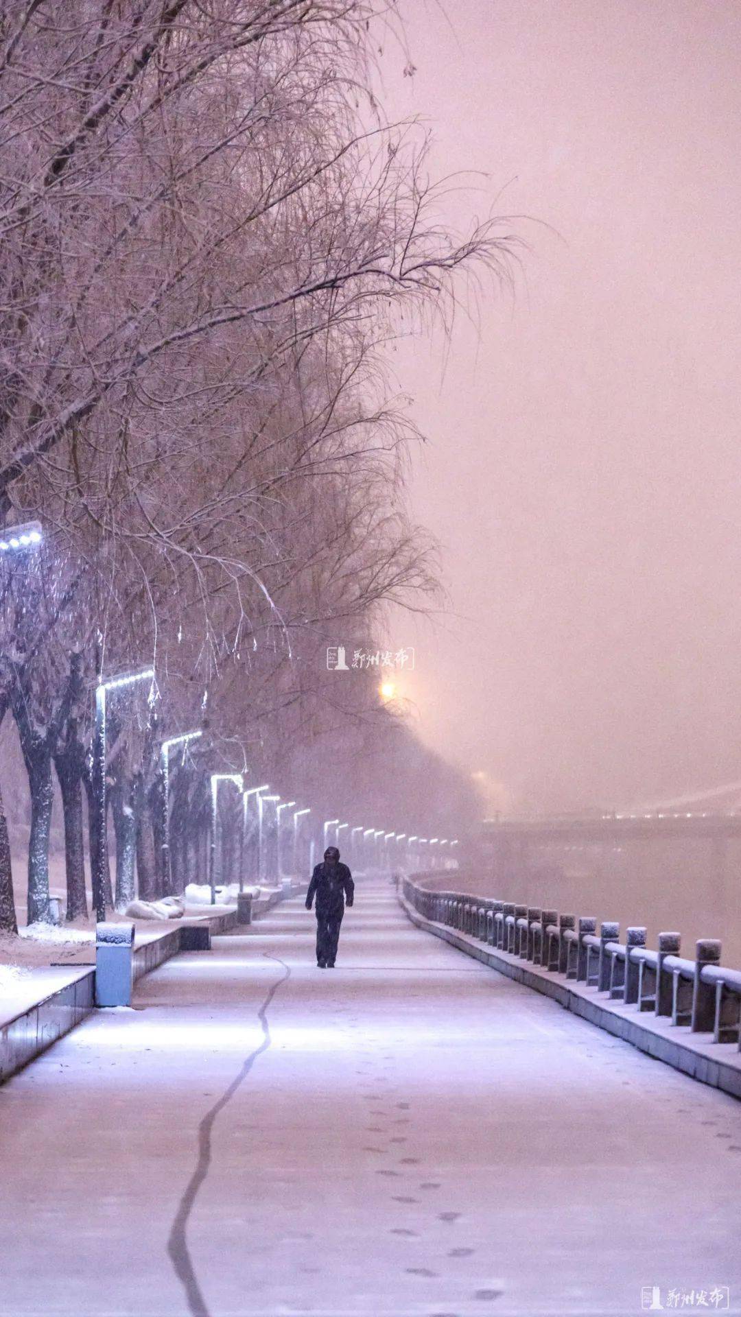 雪夜图片孤独图片