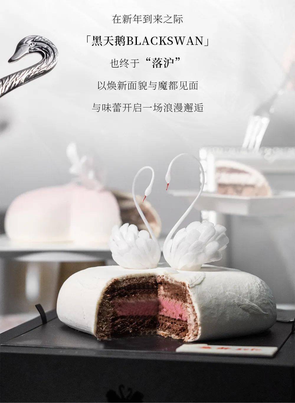 落"沪"了,「黑天鹅blackswan」邀侬共赴至美之旅!_蛋糕_巧克力_工艺