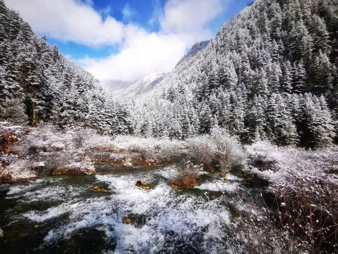 体育|“冰雪之约，净土阿坝”全域旅游推介会在九寨沟举行