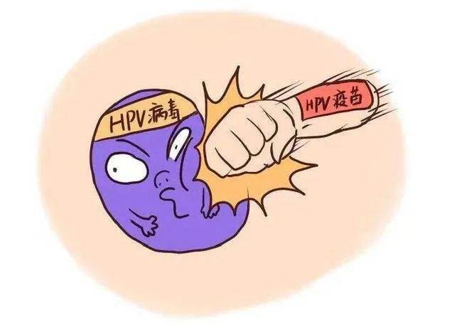 hpv病毒能彻底清除吗图片