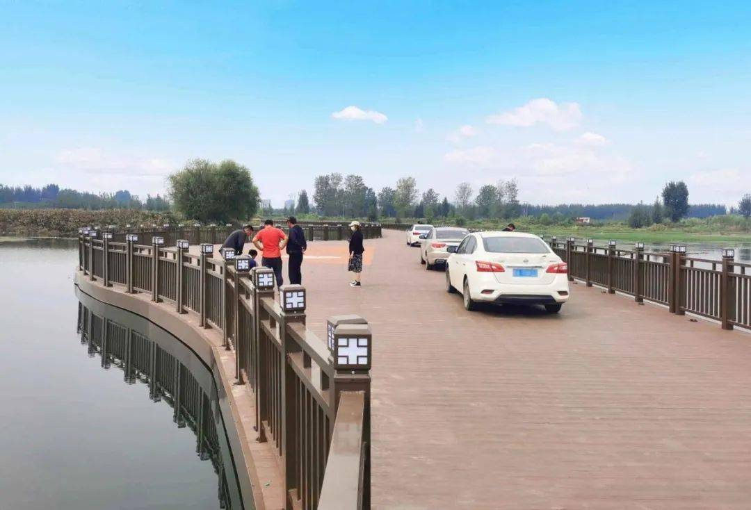 上海旗华打造采煤塌陷区"网红浮桥",助力河北省重点旅游区建设_磁县