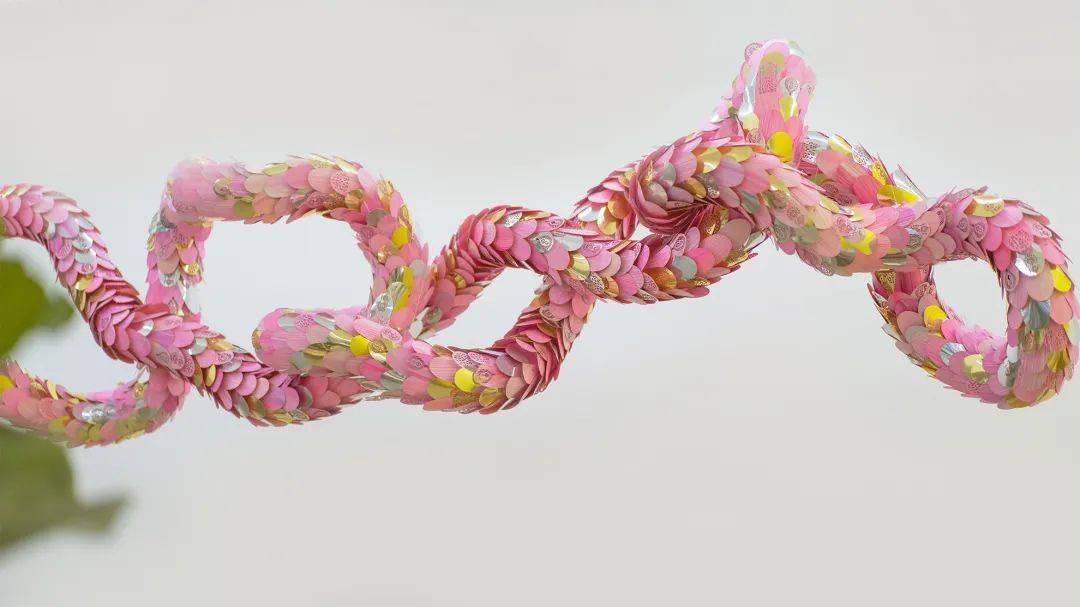 粉色|90后“纸做的艺术家”陈粉丸：纸刻时光，空竹存忆