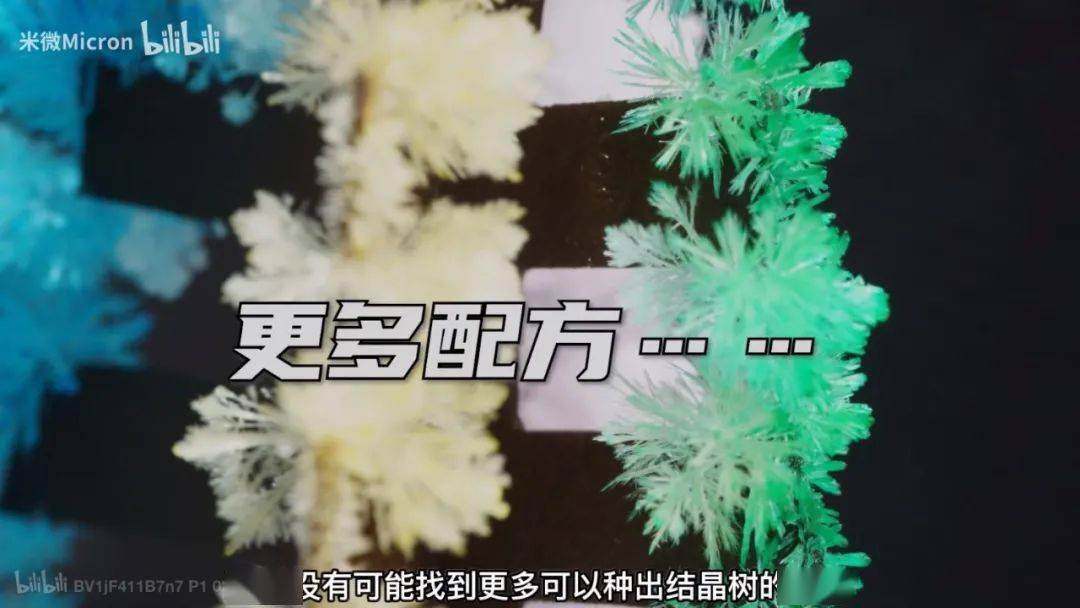 实验|500W网友围观！90后学霸猜出这玩意的配方后，造了一棵超大号