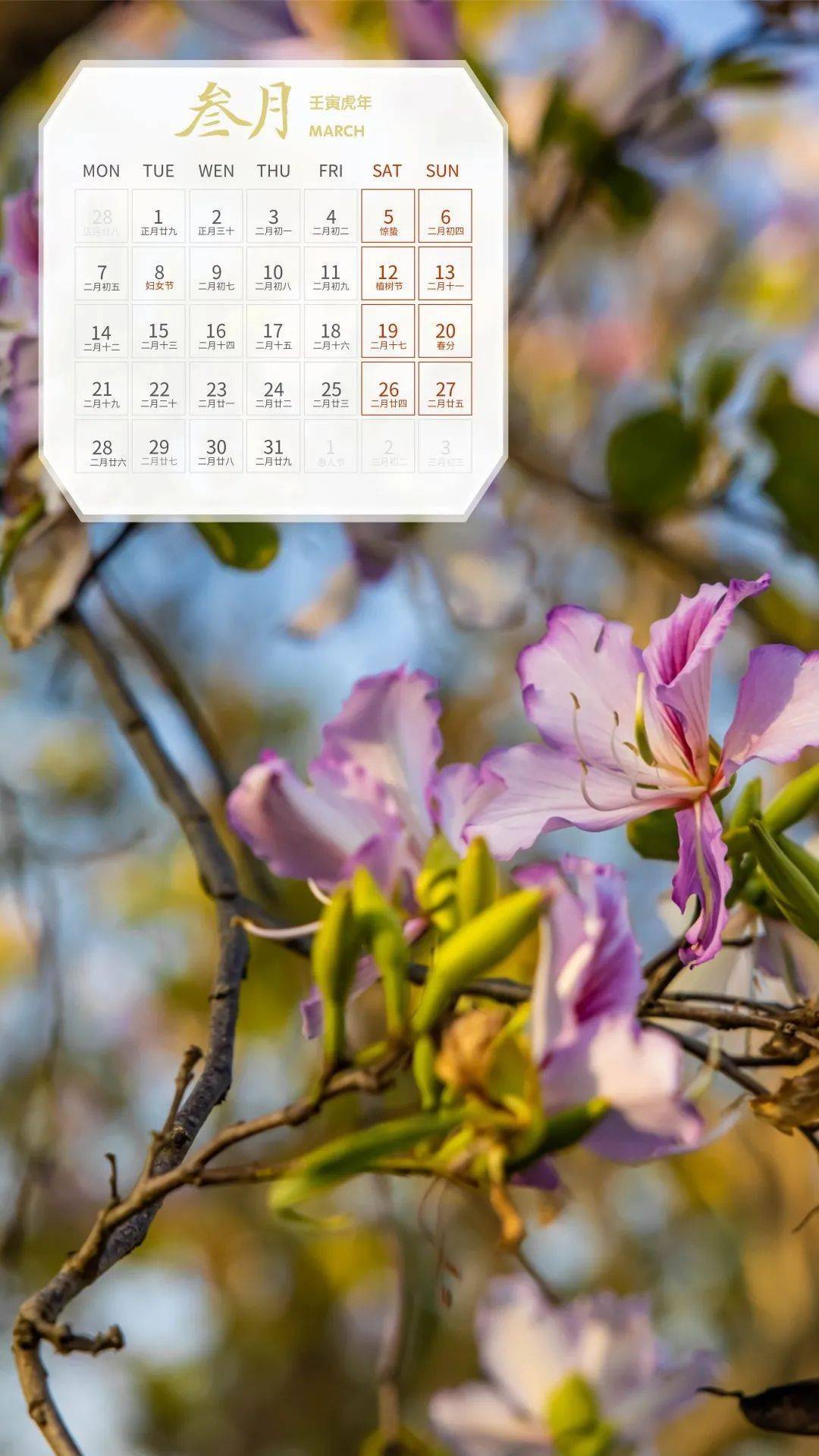 春有百花秋有月简谱_春有百花秋有月图片(3)