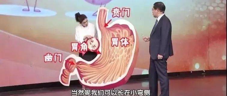 吃完饭就犯困，到底该“躺”还是“走”？_食物_运动_阑尾
