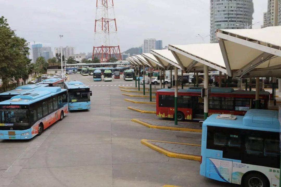 爱心交通丨城市公交,流动的文明风景线_厦门_车厢_林晓蕾