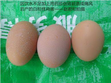 1,白斑蛋:特点蛋壳外面有雪花样似画上的白色白斑,不突出表面.