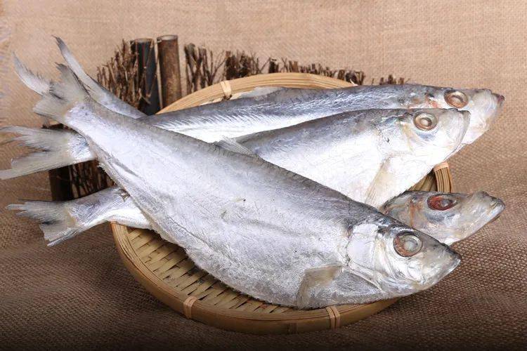 陕菜61问答一种食材能做出多少种菜肴十八上