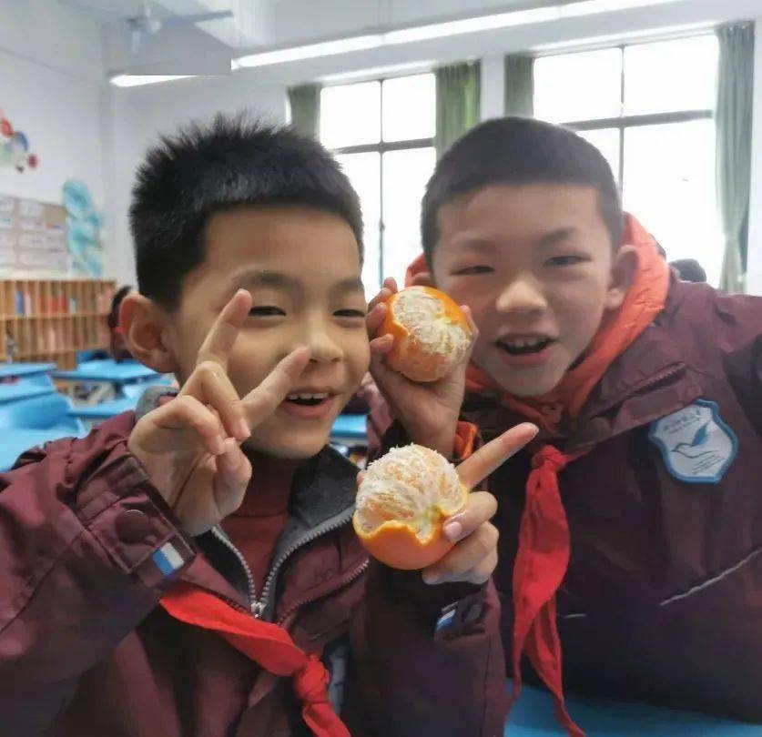 班级|播种绿色 收获幸福 | 一起来学校摘沃柑吧！