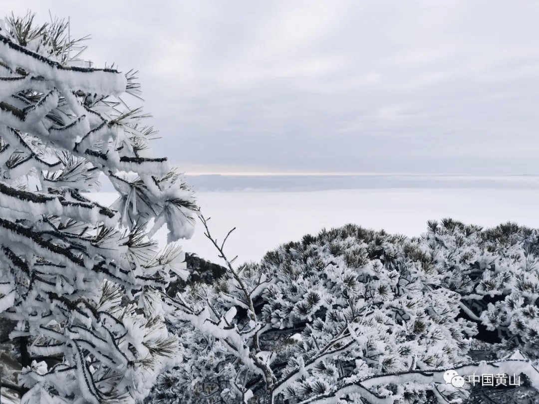 琉璃仙境童話世界黃山風景區迎來2022年首場降雪