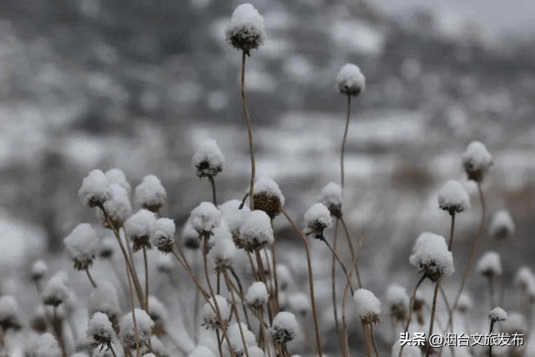 世外桃源|一场冬雪后，昆嵛山竟变成这样……