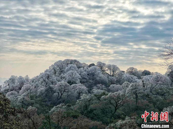 杆洞乡|广西北部深山出现一片彩色雪原