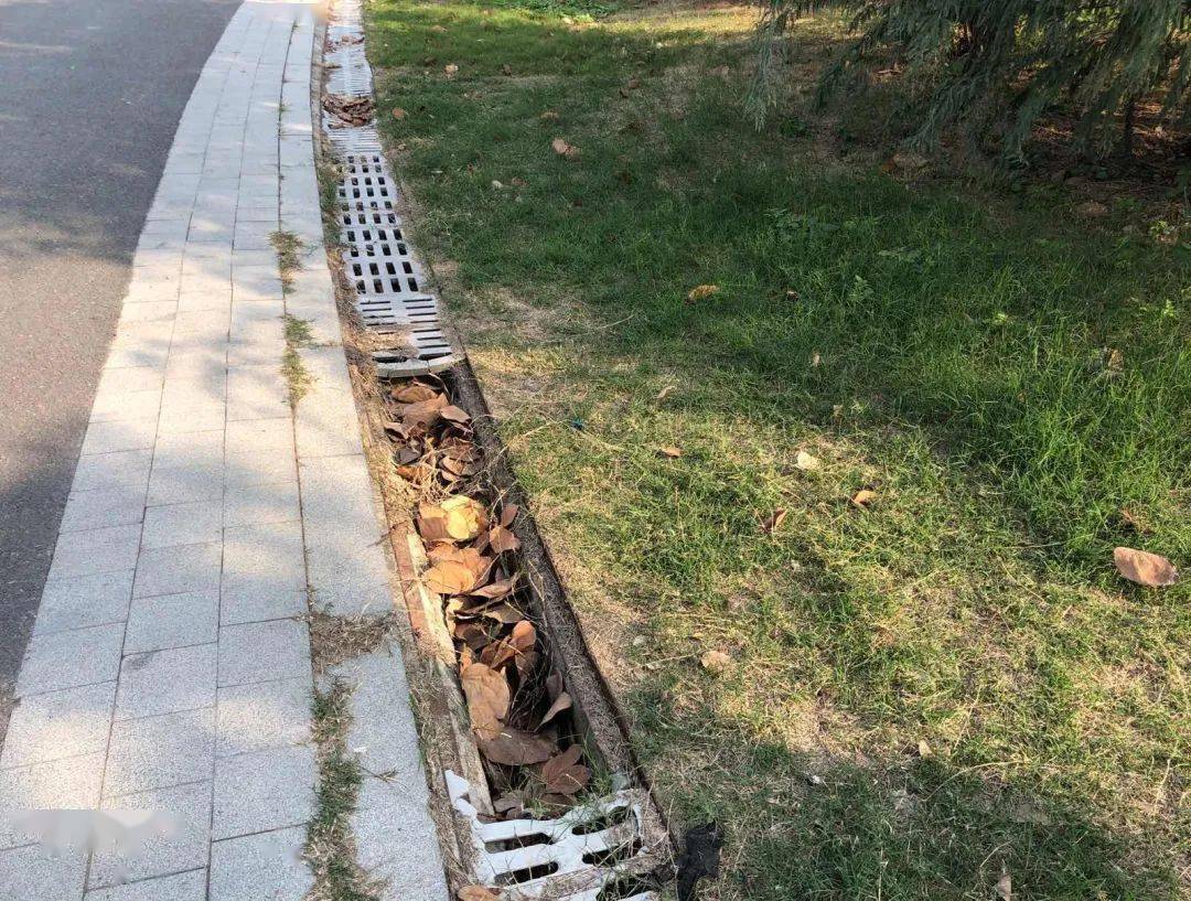 在柏嘉运动公园,督查组发现,汽车出入口附近喷水池周边有多处排水沟盖