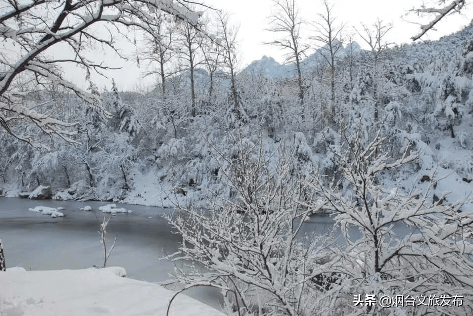 世外桃源|一场冬雪后，昆嵛山竟变成这样……