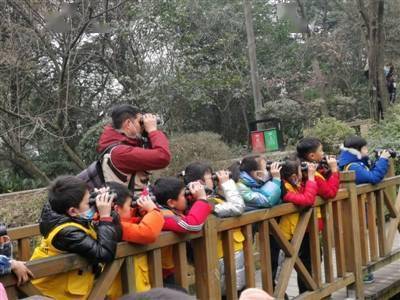 乡野|自然教育者蒋志友：以鸟之名，探索成都