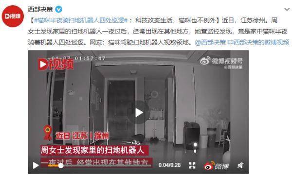 机器人|科技改变喵！猫咪半夜驾驶扫地机器人四处巡逻