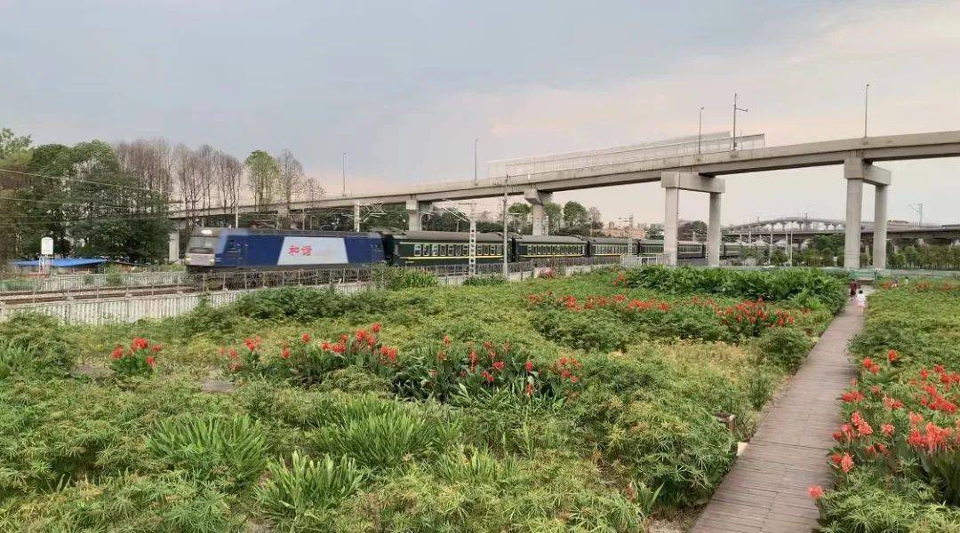 攀枝南站开往成都站的t8872次列车,成都南站开往攀枝花南站的t8869次