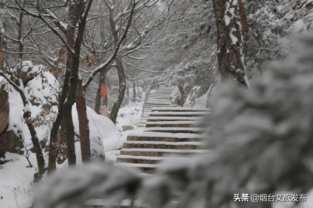 世外桃源|一场冬雪后，昆嵛山竟变成这样……