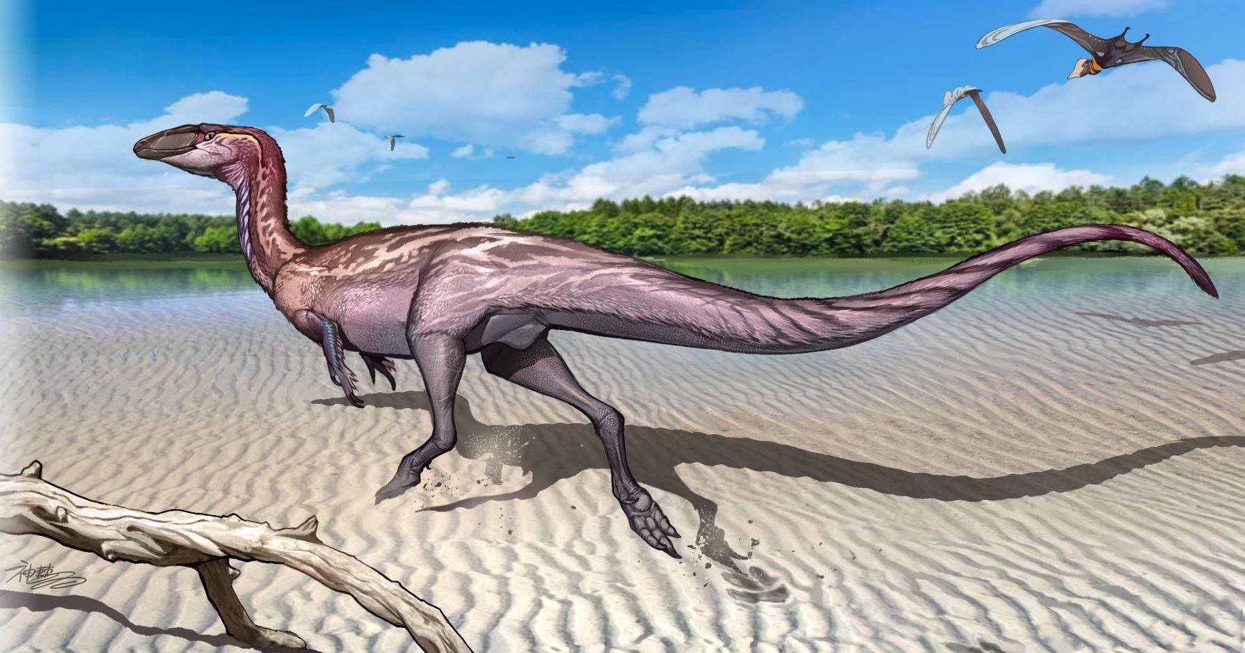 白垩纪恐龙中国版图再扩大这次发现来自一名广州初三学生