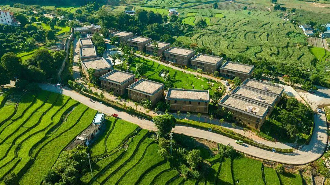 跟着中老铁路游玉溪丨一日一景新平花腰田间