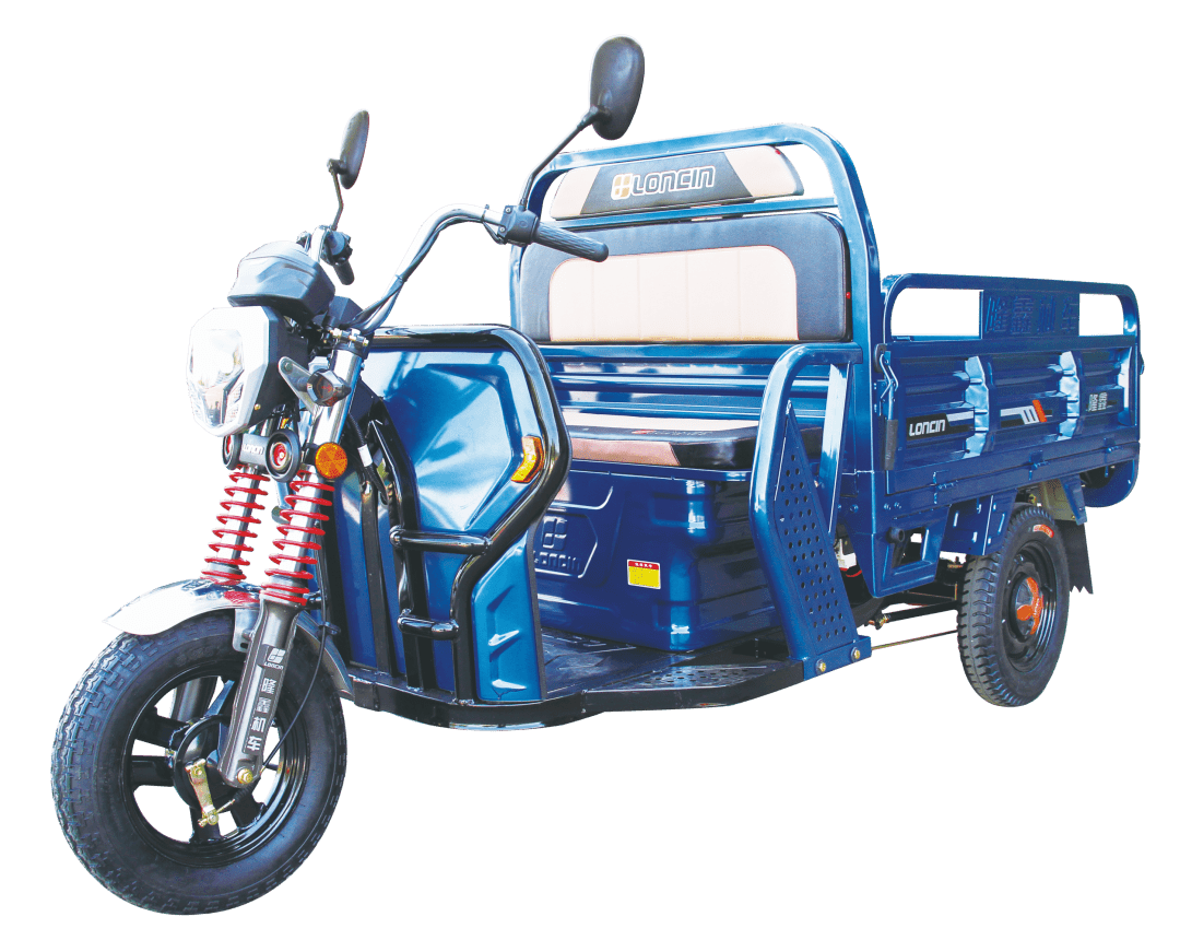 2021中国三轮车年度车型