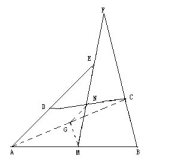 初二数学期末复习：几何经典题含详细解答过程