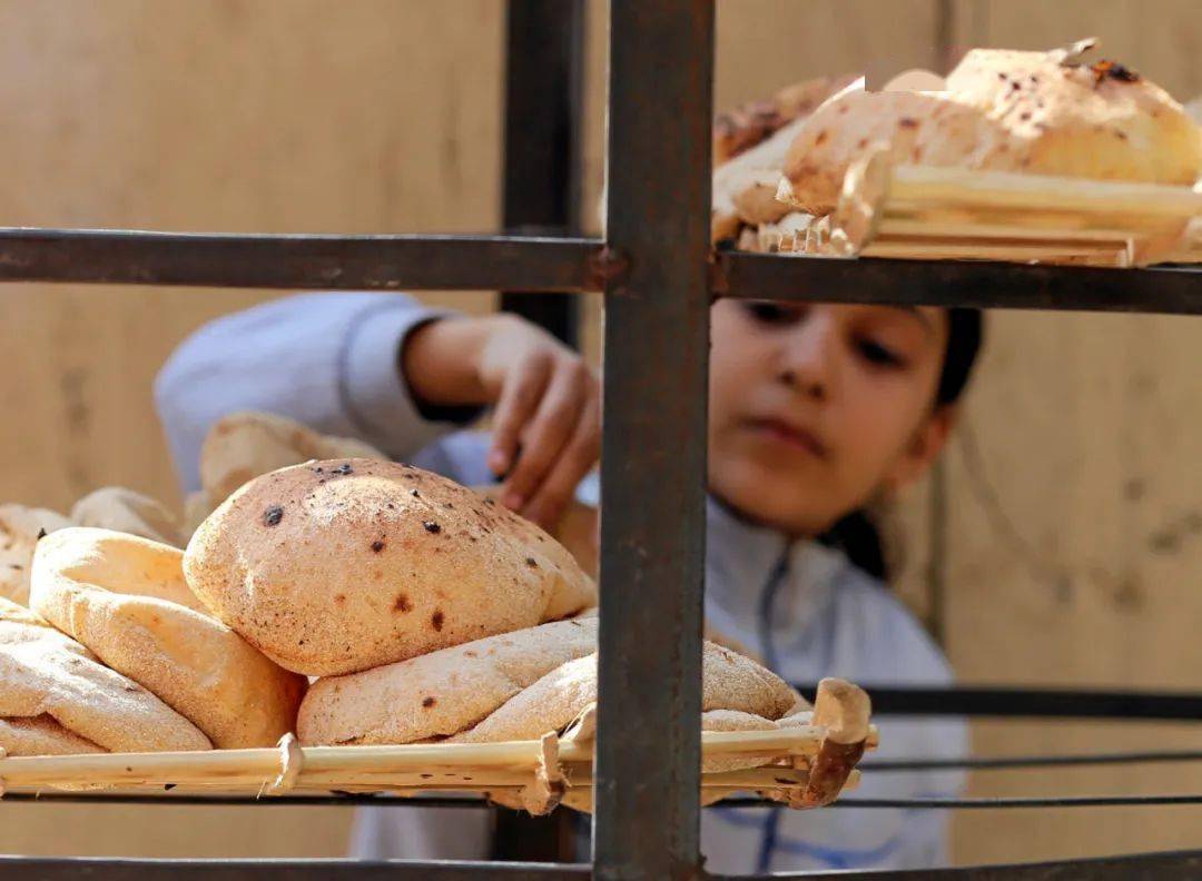 埃及一张大饼引发的争论