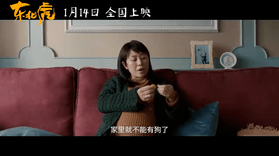 什么|春节档来临之前，电影看什么？