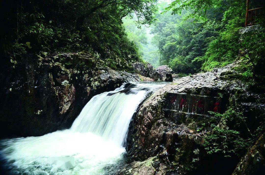 景点|“人间仙境”——三百山