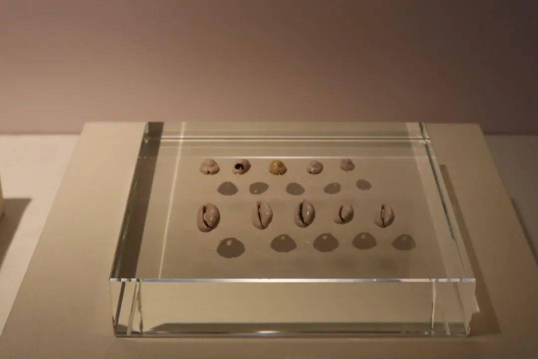 展览|天津博物馆呈现“繁花似锦”与“素香淡影”