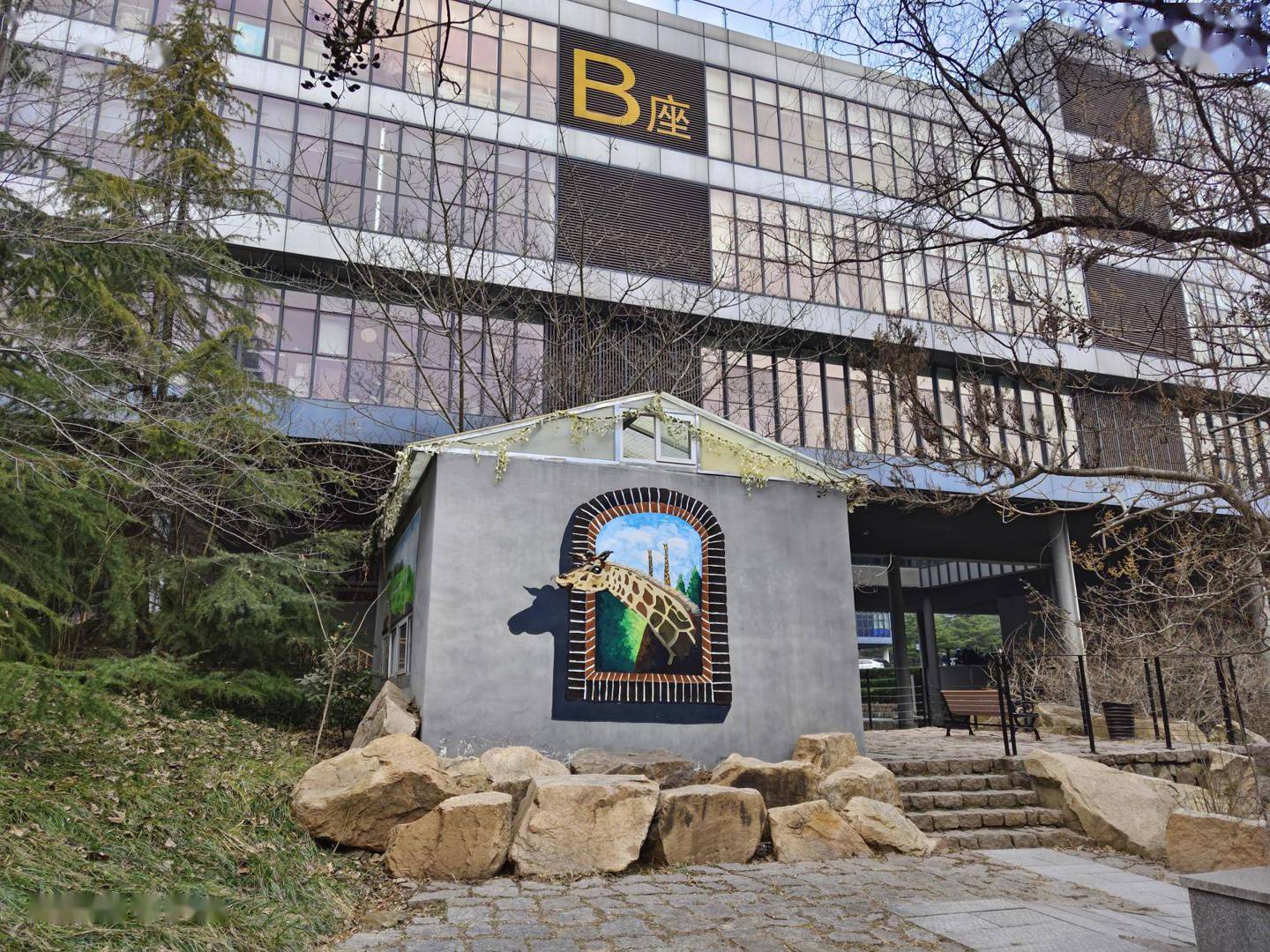 iQOO9 Pro 影像体验：首发三星 GN5，定格精彩瞬间