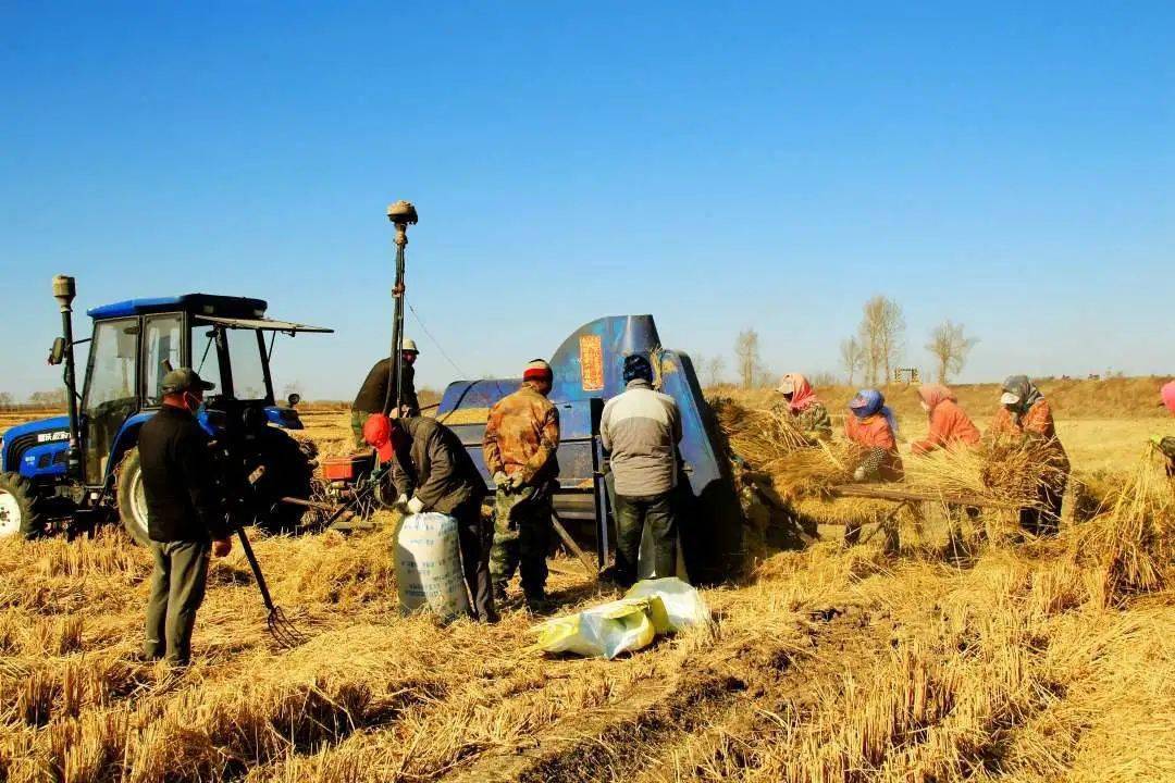 (组2)郑东霞《傍晚的长春》(组1)郑东霞《喜悦的心情》张宇蛟《为了家