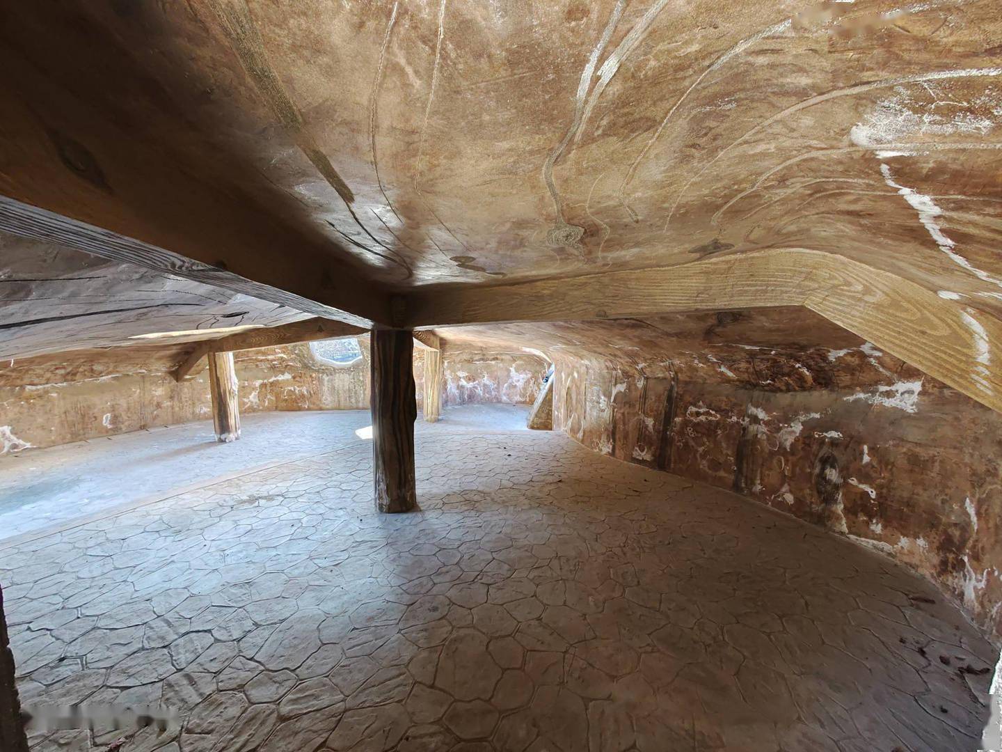 iQOO9 Pro 影像体验：首发三星 GN5，定格精彩瞬间