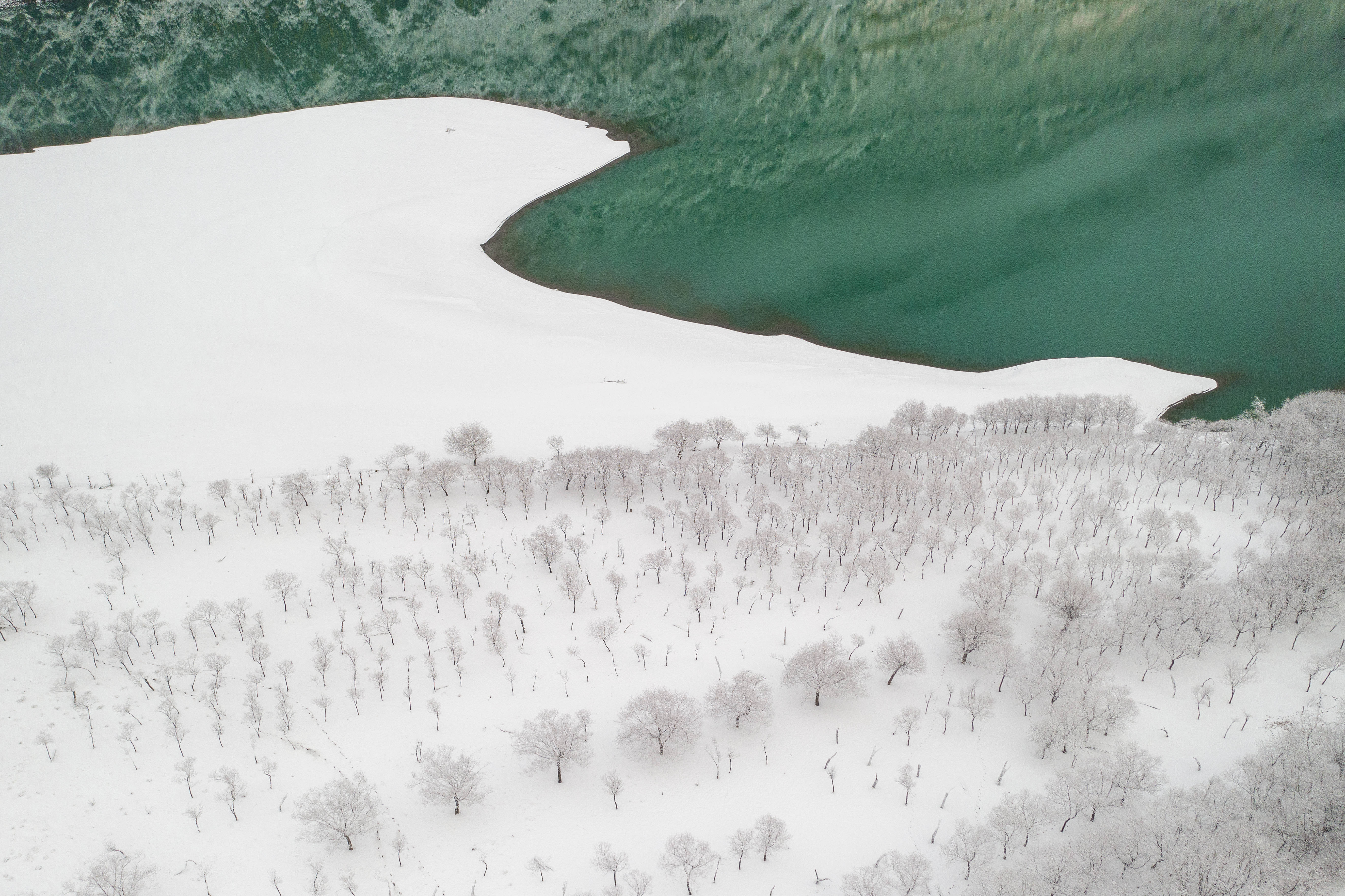 显得|壮美的雅鲁藏布大峡谷雪景