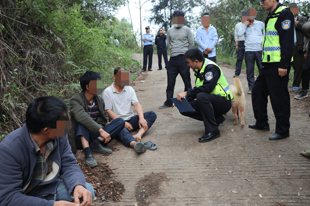 致敬岑溪市公安局交通管理大隊事故處理民警輔警_工作_轄區_法律