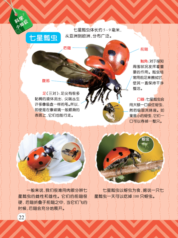 【科普绘本】4大领域32个主题，用精美的故事图画和音频培养小小科学家！