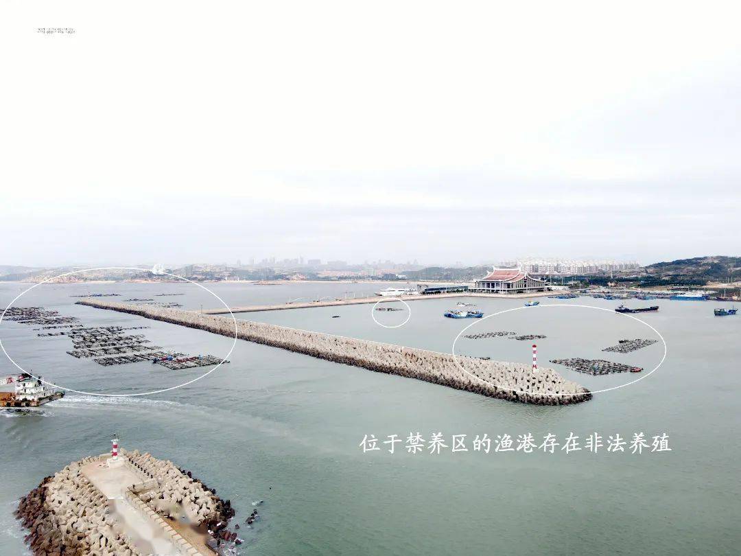 典型案例丨平潭综合实验区水产养殖生态环境问题突出_督察组_工作时_放松要求