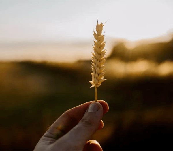aafbb82b54304128a70ec570a2e7ea76.png