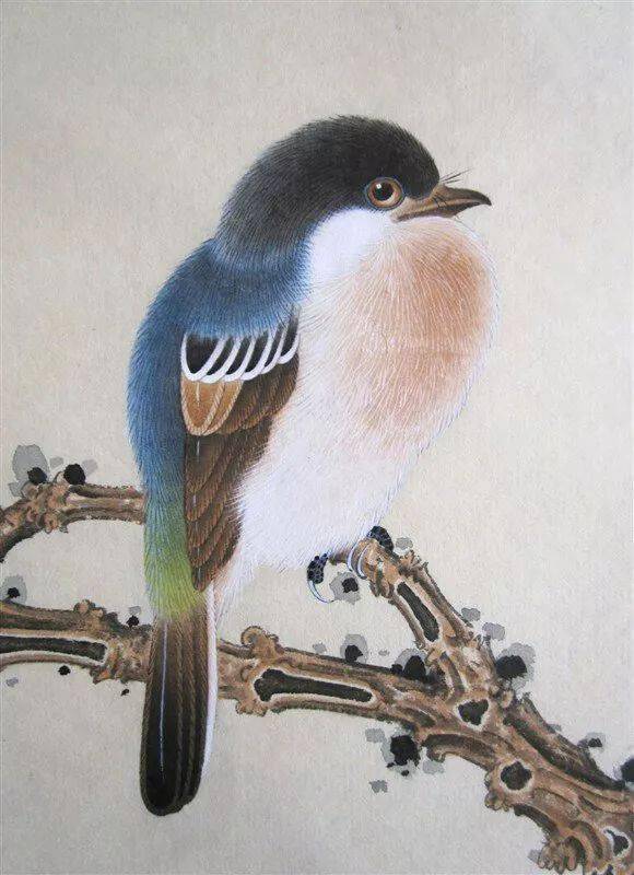 欣赏100幅工笔禽鸟太美了赶紧收藏