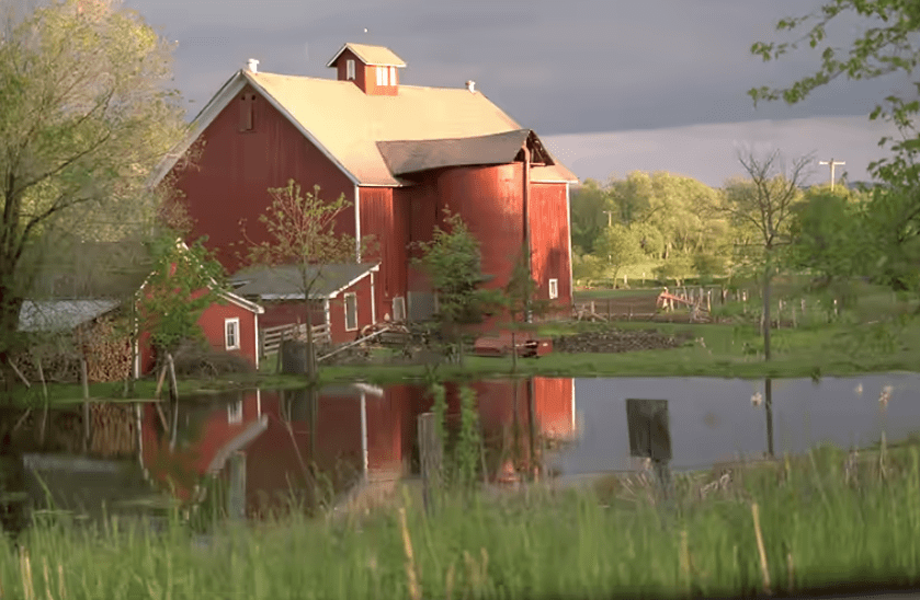 浏览器|这个新格式比JPEG强50倍，但它还是干不掉30年前的JPEG。