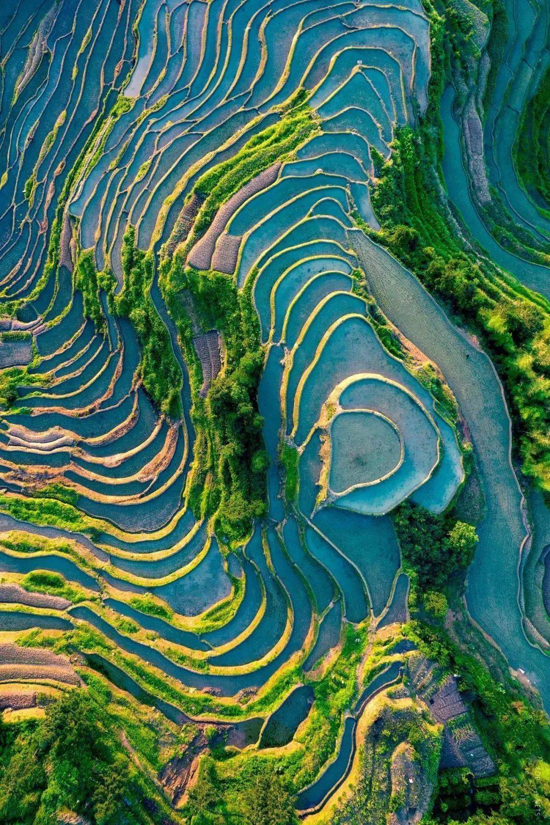 中国梯田,到底有多美?这50张图片就是最好的答案!_上堡_云和县_横屏